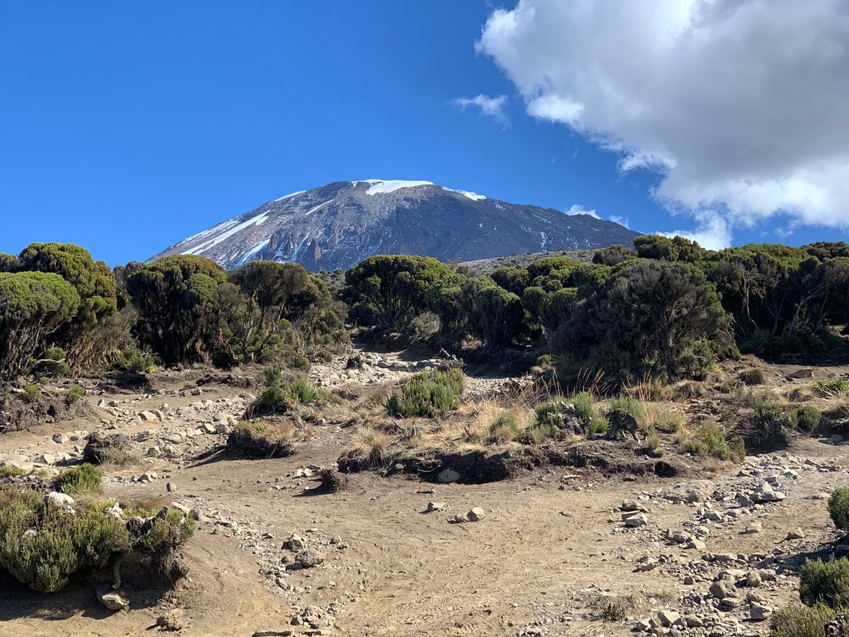 Millenium tábor (3820 m) – Mweka kapu (1630 m) – Moshi