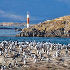 Kalandtúra Tűzföldtől Patagóniáig – 2. rész: Hajókirándulás a Beagle-csatornán