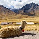 Galápagos-szigetek, Amazónia, Peru, Tiwanaku – Pachamama kalandtúra - 20. rész