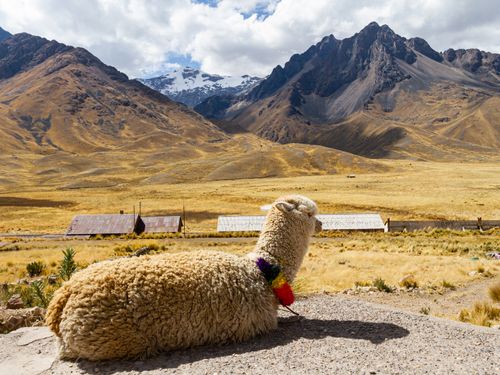 Galápagos-szigetek, Amazónia, Peru, Tiwanaku – Pachamama kalandtúra - 20. rész