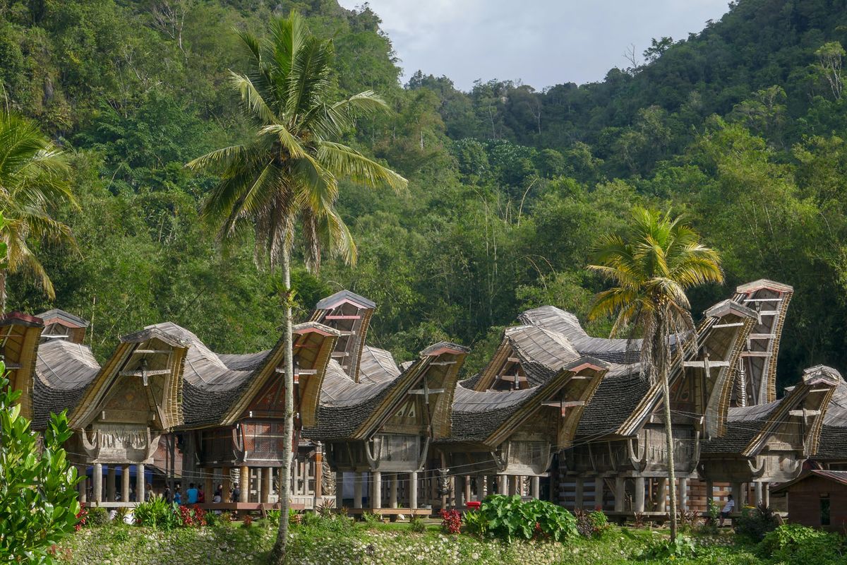 Celebesz: Toradzsaföld – Rantepao – Palopo – Makassar – Menado