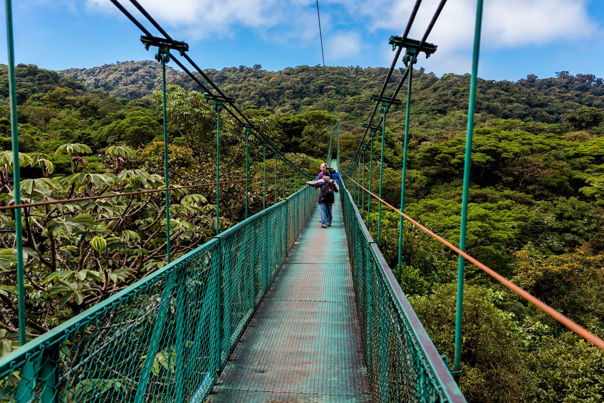 Monteverde – Monteverde Erdőrezervátum túra – lombkorona sétány