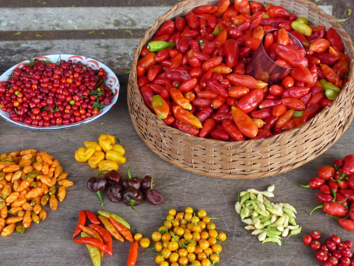 Guyana: Georgetown – Suriname: Paramaribo