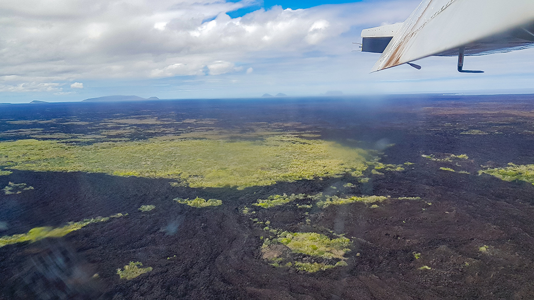 Baltra-sziget (Dél-Seymour-sziget, South Seymour)