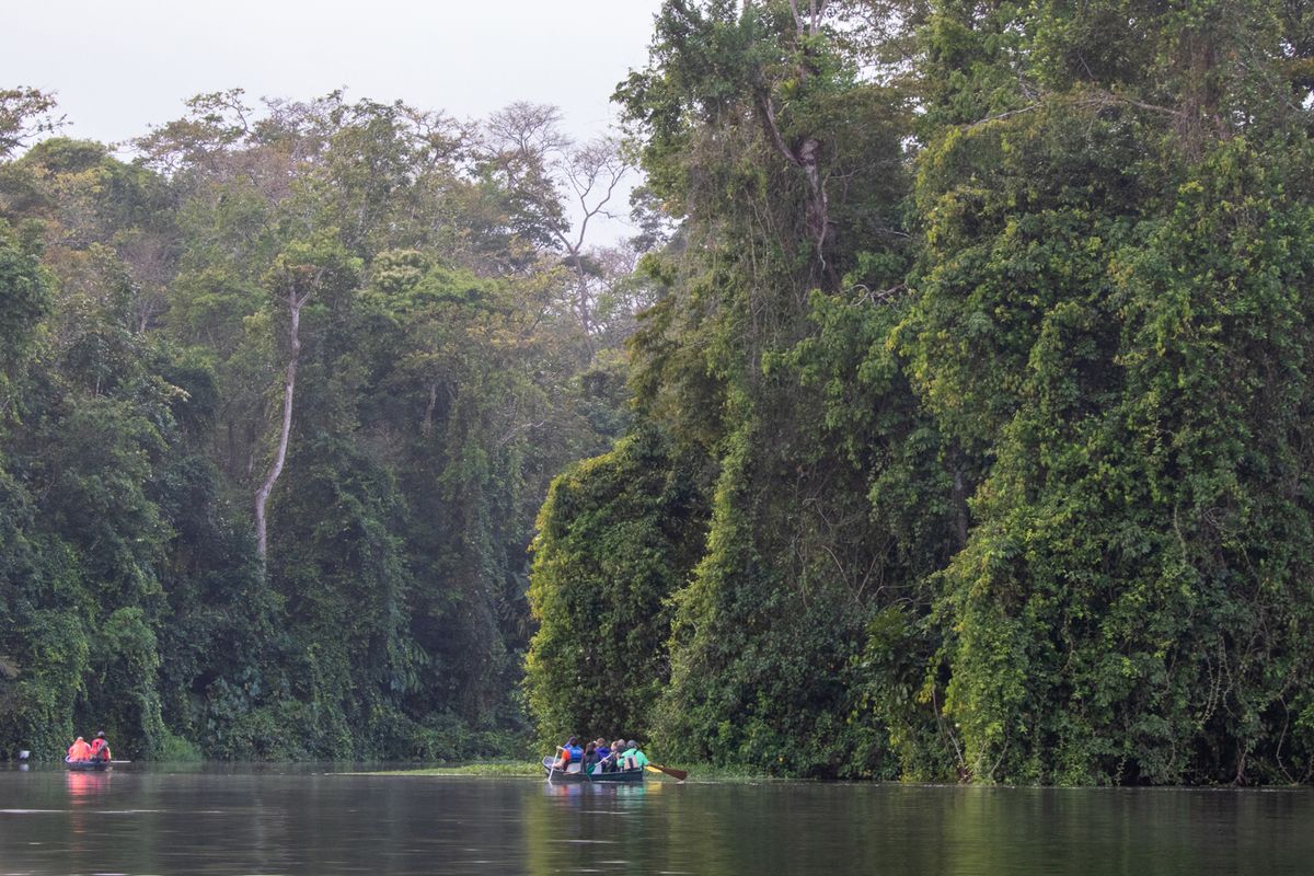 Tortuguero Nemzeti Park – motoros kenutúra a Tortuguero-csatornákon – Cerro Tortuguero – kajakozás