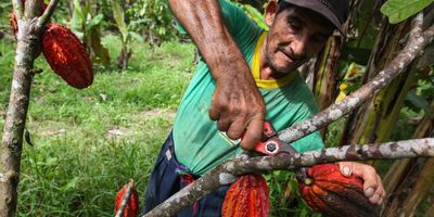 Peru – Inka dzsungeltúra