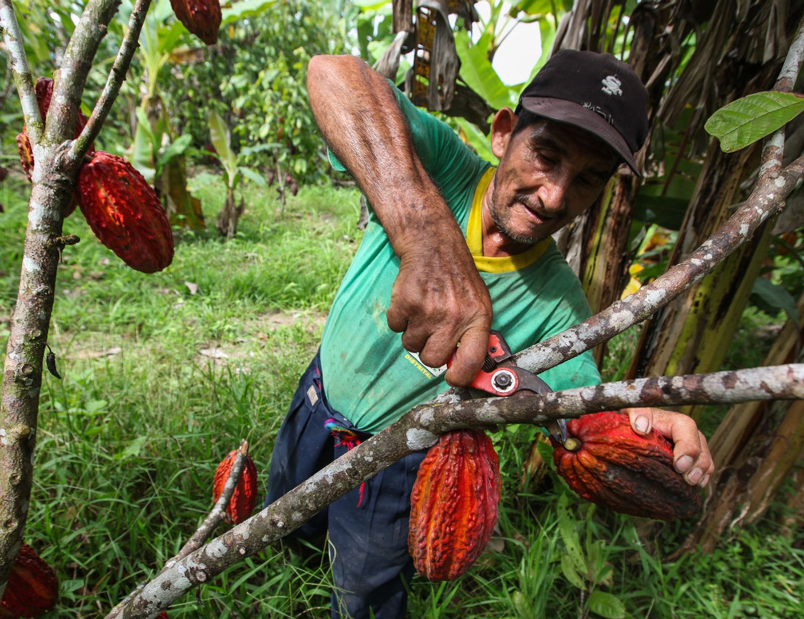 Peru – Inka dzsungeltúra