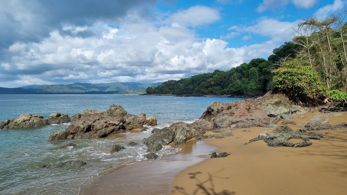 Uvita – Osa-félsziget – Corcovado Nemzeti Park