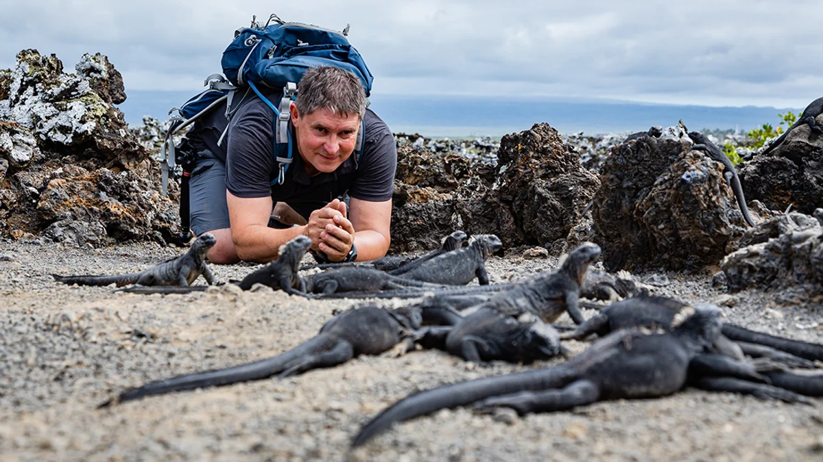 Isabela-sziget – Tintoreras-szigetek – Isabela-sziget – Sierra Negra-vulkán – gyümölcsfarm