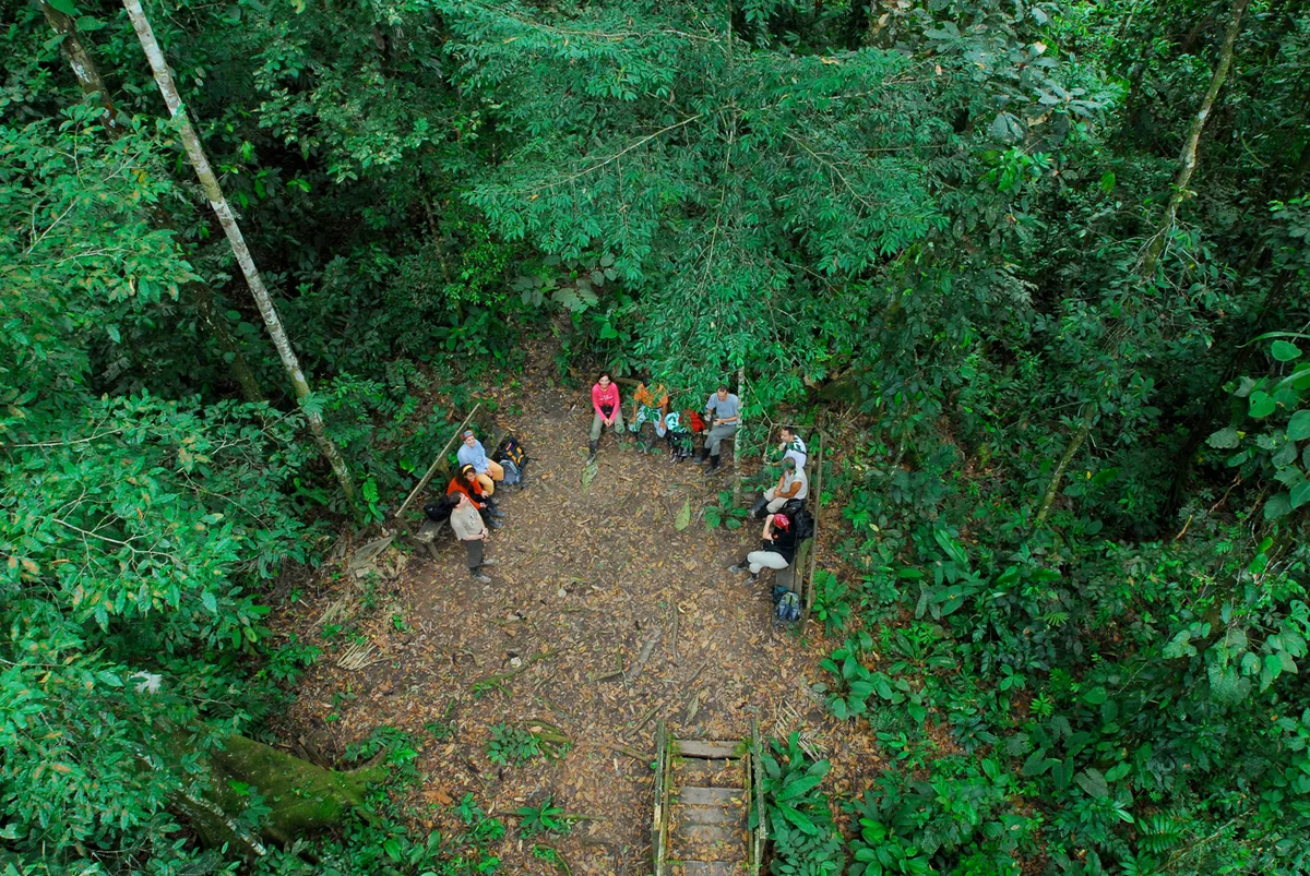 Quito – Amazónia: Coca – Yasuni Nemzeti Park