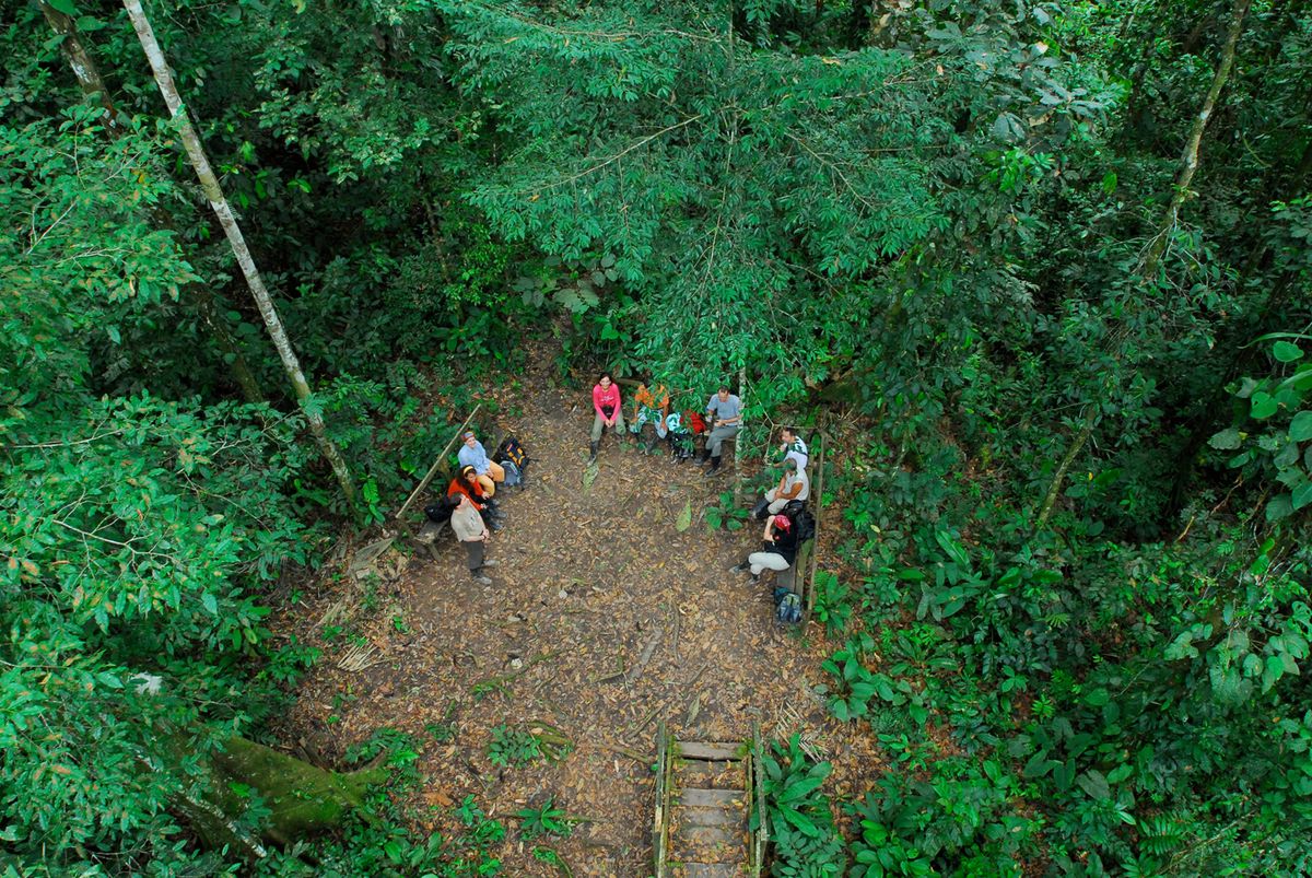 Quito – Amazónia: Coca – Yasuni Nemzeti Park