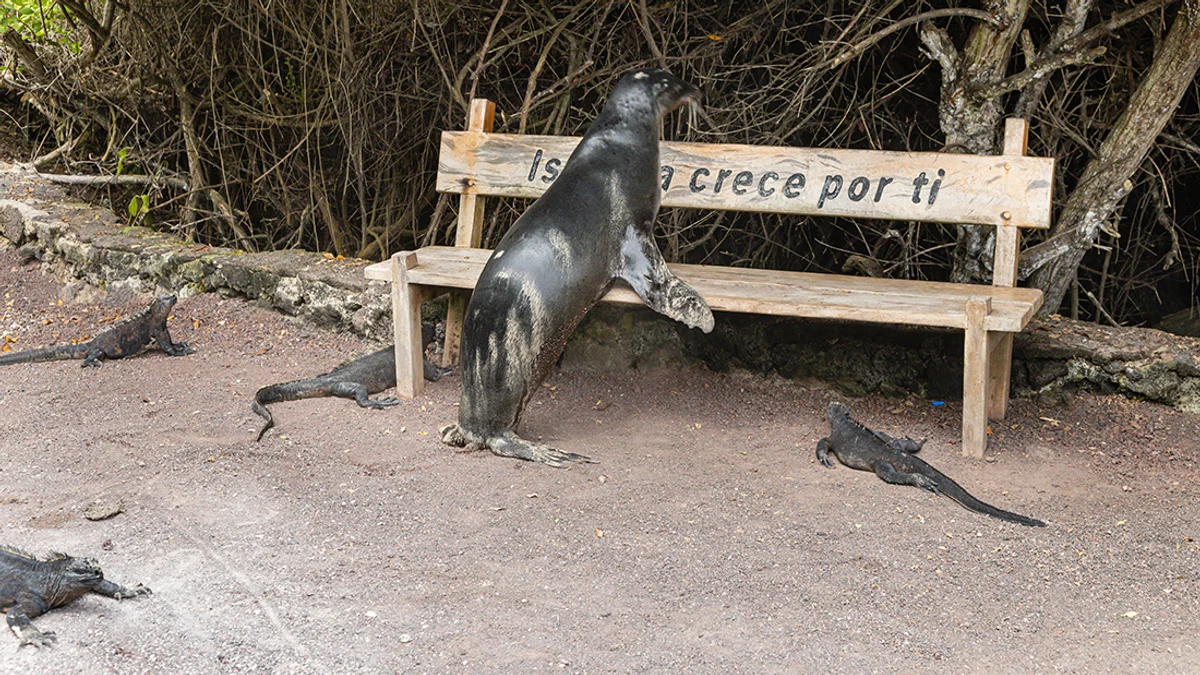  Quito – Galápagos-szigetek: Baltra-sziget – Isabela-sziget – óriásteknős nevelőközpont