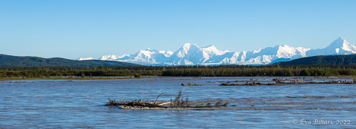 Denali Nemzeti Park – Delta Junction