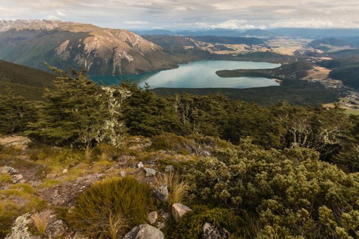Raglan –  Auckland – Déli-sziget: Christchurch