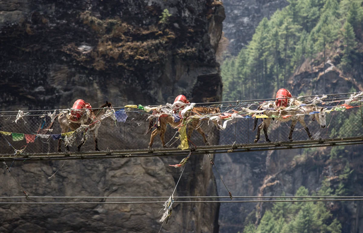 Phakding (2650 m) – Sagarmatha Nemzeti Park: Namche Bazaar (3440 m)