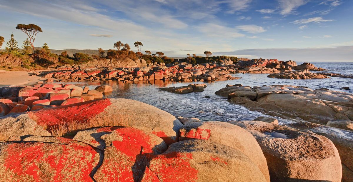  Launceston – Mt. Williams Nemzeti Park – Fire Bay – Bicheno