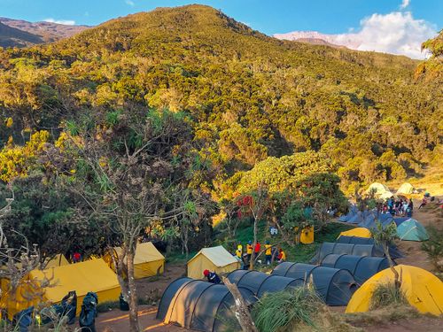 Megmásztam a Kilimandzsárót! – 1. nap: Machame kapu (1830 m) – Machame tábor (3030 m)