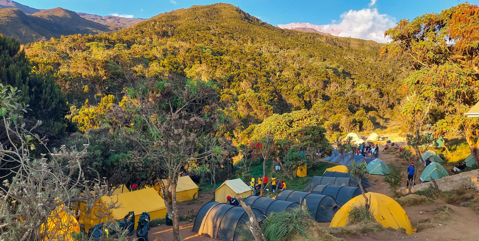 Megmásztam a Kilimandzsárót! – 1. nap: Machame kapu (1830 m) – Machame tábor (3030 m)