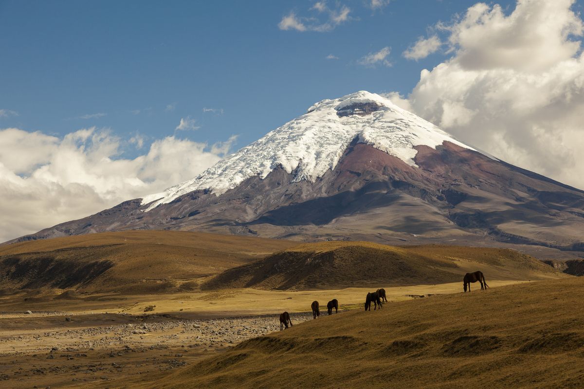 Cotopaxi Nemzeti Park  –  Jose Rivas menedékház (4800 m)