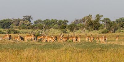 Namíbia, Botswana, Zimbawe, Zambia egyéni utazás