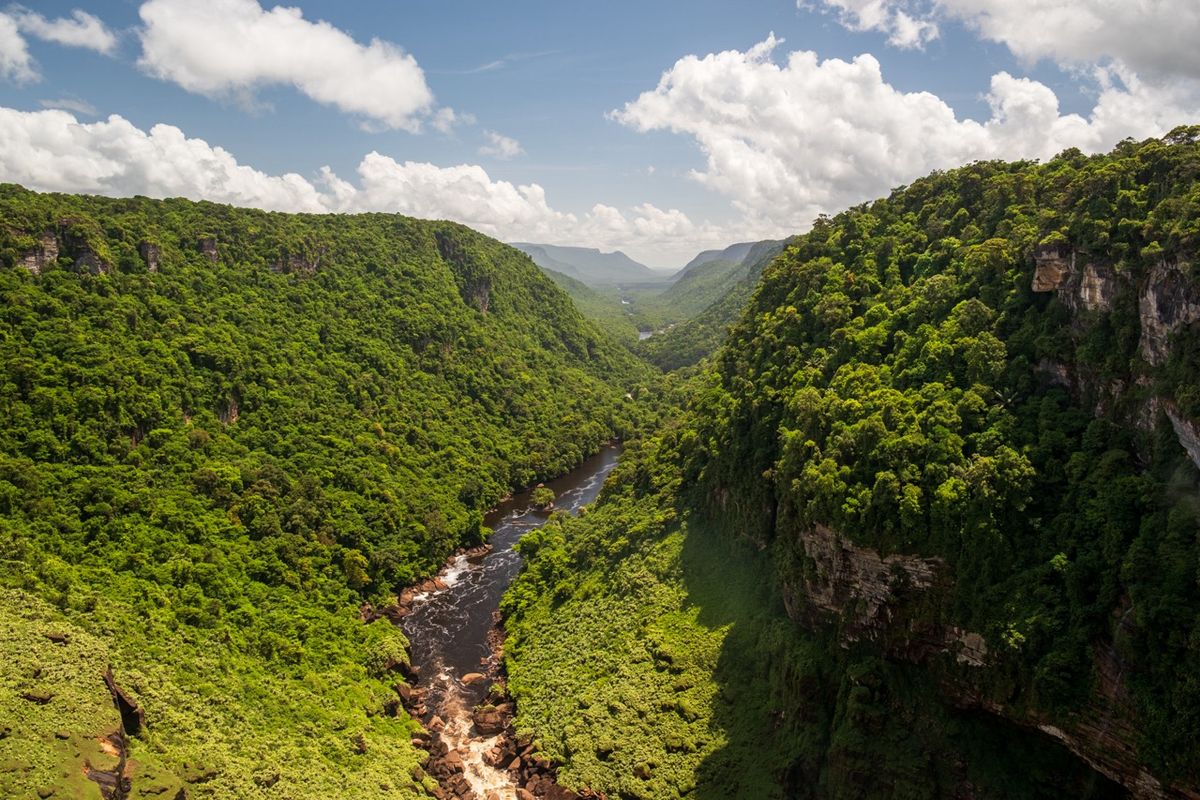 Guyana: Georgetown – Kaieteur Nemzeti Park – Iwokrama-erdő Természetvédelmi Terület