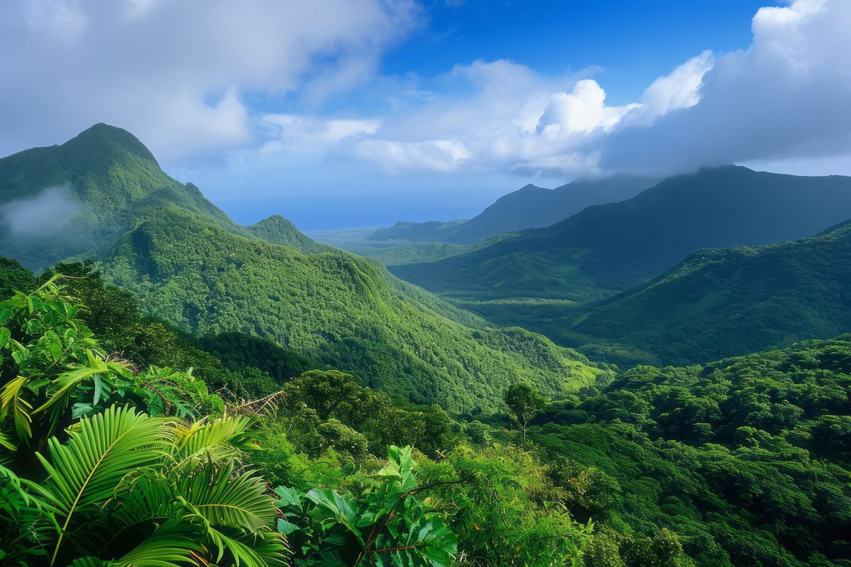 Saint Lucia – Gros Piton-csúcs túra (786 m)