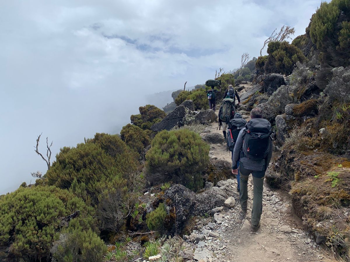 Machame tábor (3030 m) – Shira tábor (3850 m)