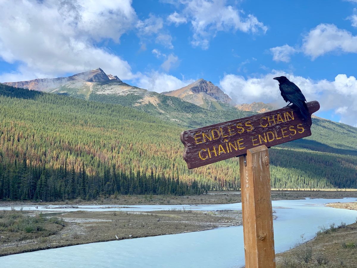 Banff – Calgary