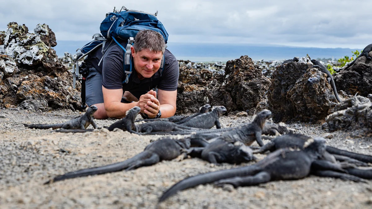 Isabela-sziget – Tintoreras-sziget – Sierra Negra vulkán – gyümölcsfarm