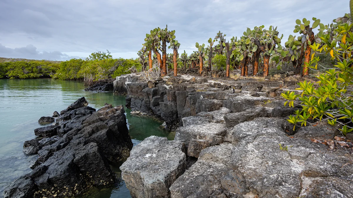 Isabela-sziget – Könnyek Fala – Cabo Rosa lávacsatornák