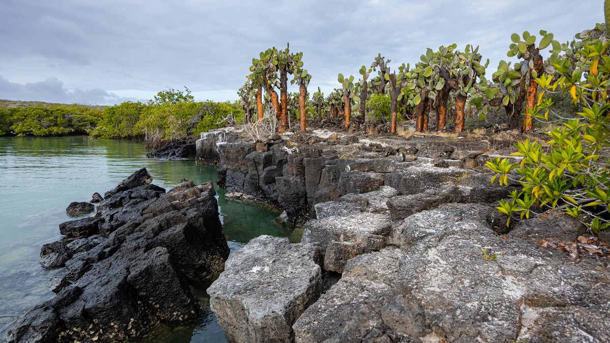 Isabela-sziget – Könnyek Fala – Cabo Rosa lávacsatornák