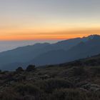 Megmásztam a Kilimandzsárót! – 6. nap: Millenium tábor (3820 m) – Mweka kapu (1630 m) – Moshi 