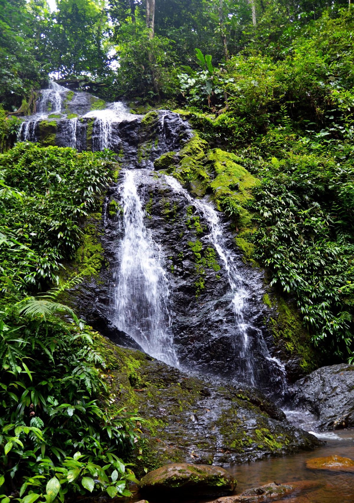 Suriname: Paramaribo – Brownsberg Nemzeti Park – Paramaribo