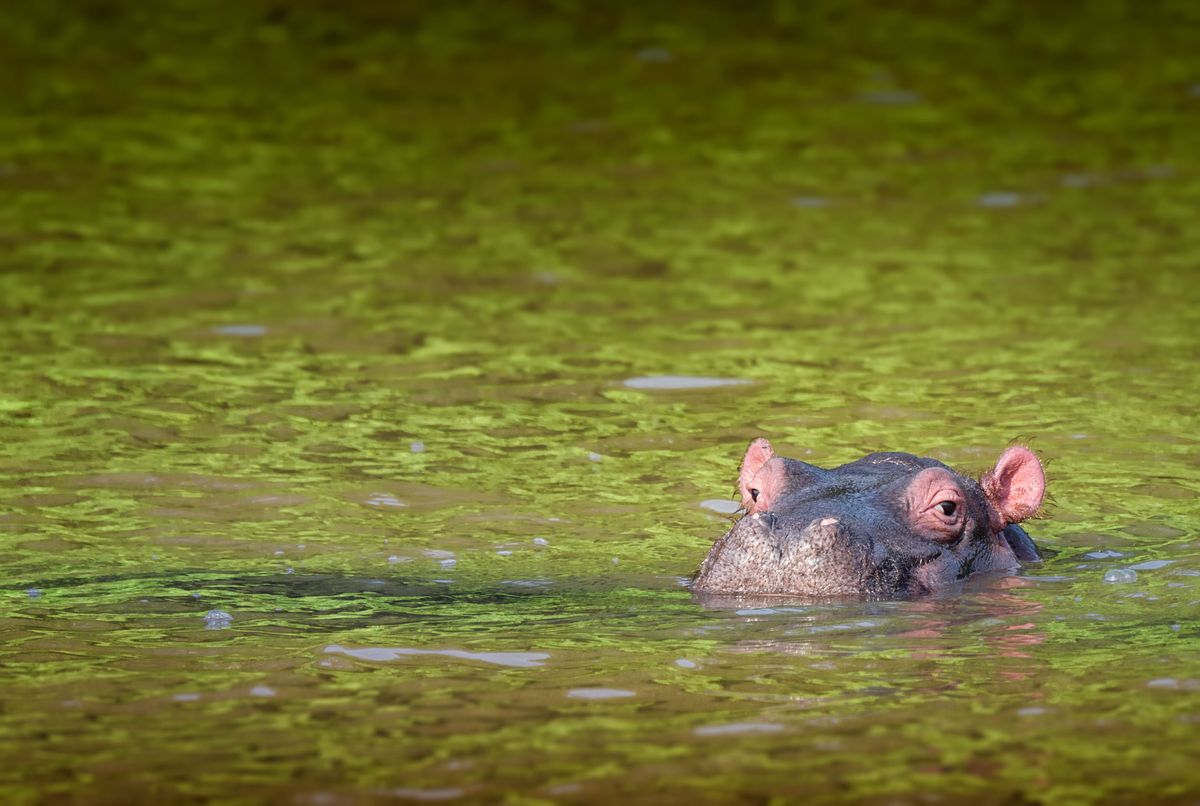 Isimangaliso Wetland Park – Cape Vidal – St. Lucia