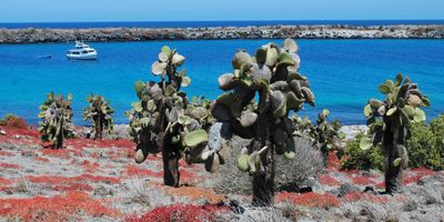 Ecuador – Galápagos-szigetek 8 napos hajóút