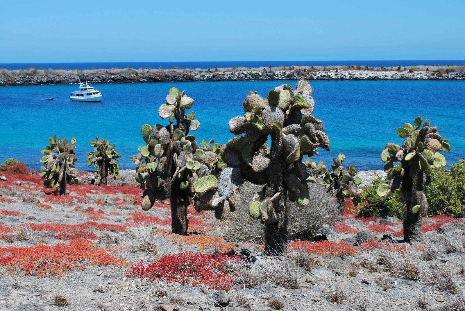 Ecuador – Galápagos-szigetek 8 napos hajóút