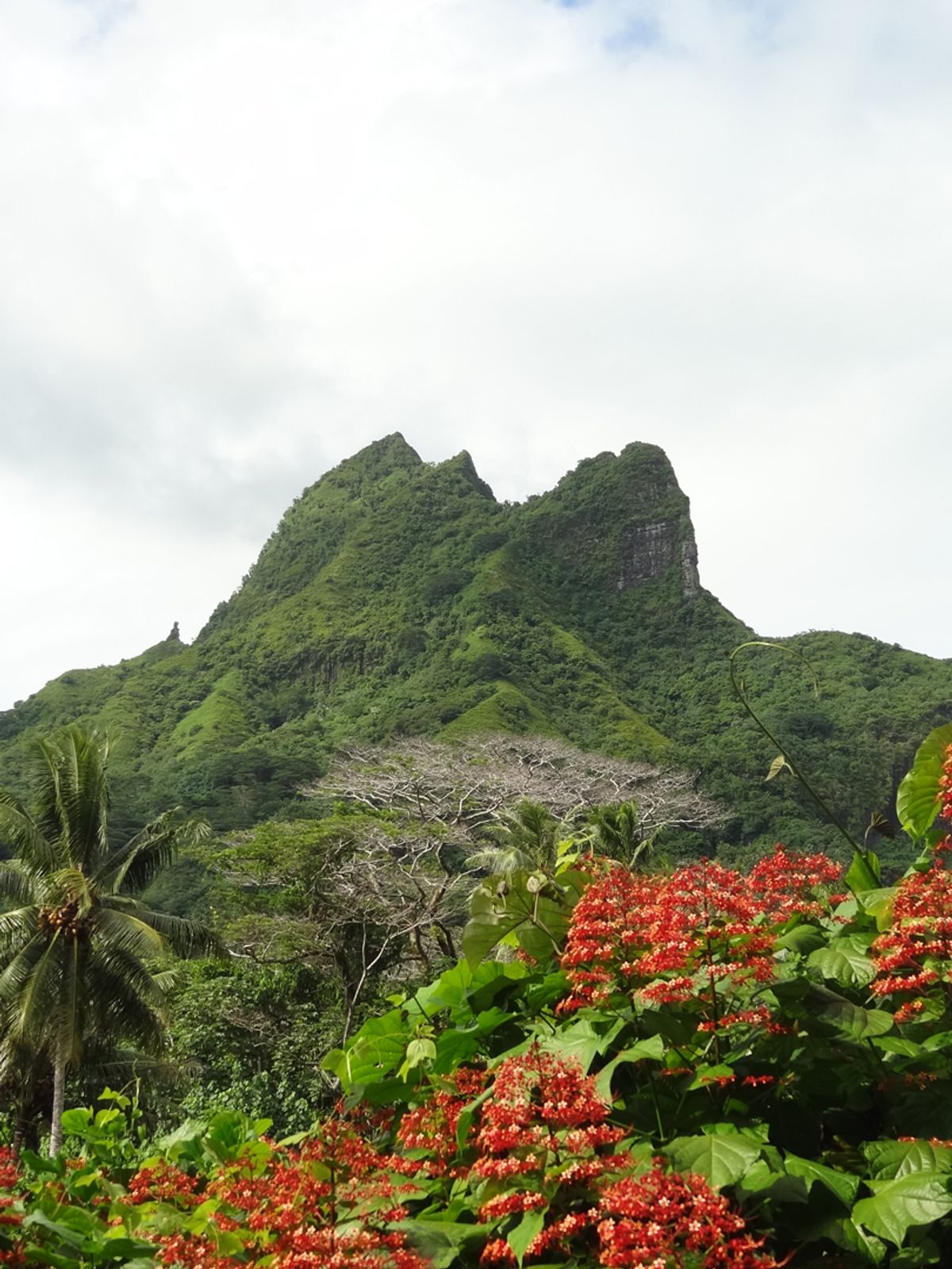 Raiatea sziget  – Taputapuatea marae régészeti park – tengerpart, strandolás