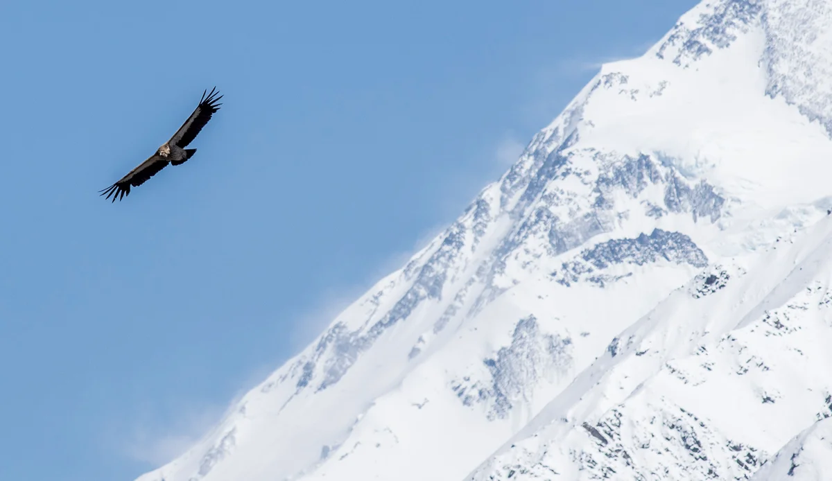 Katmandu – hazautazás