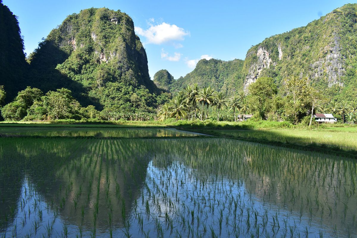 Celebesz: Makassar – Rantepao, Tana Toraja – Toradzsaföld