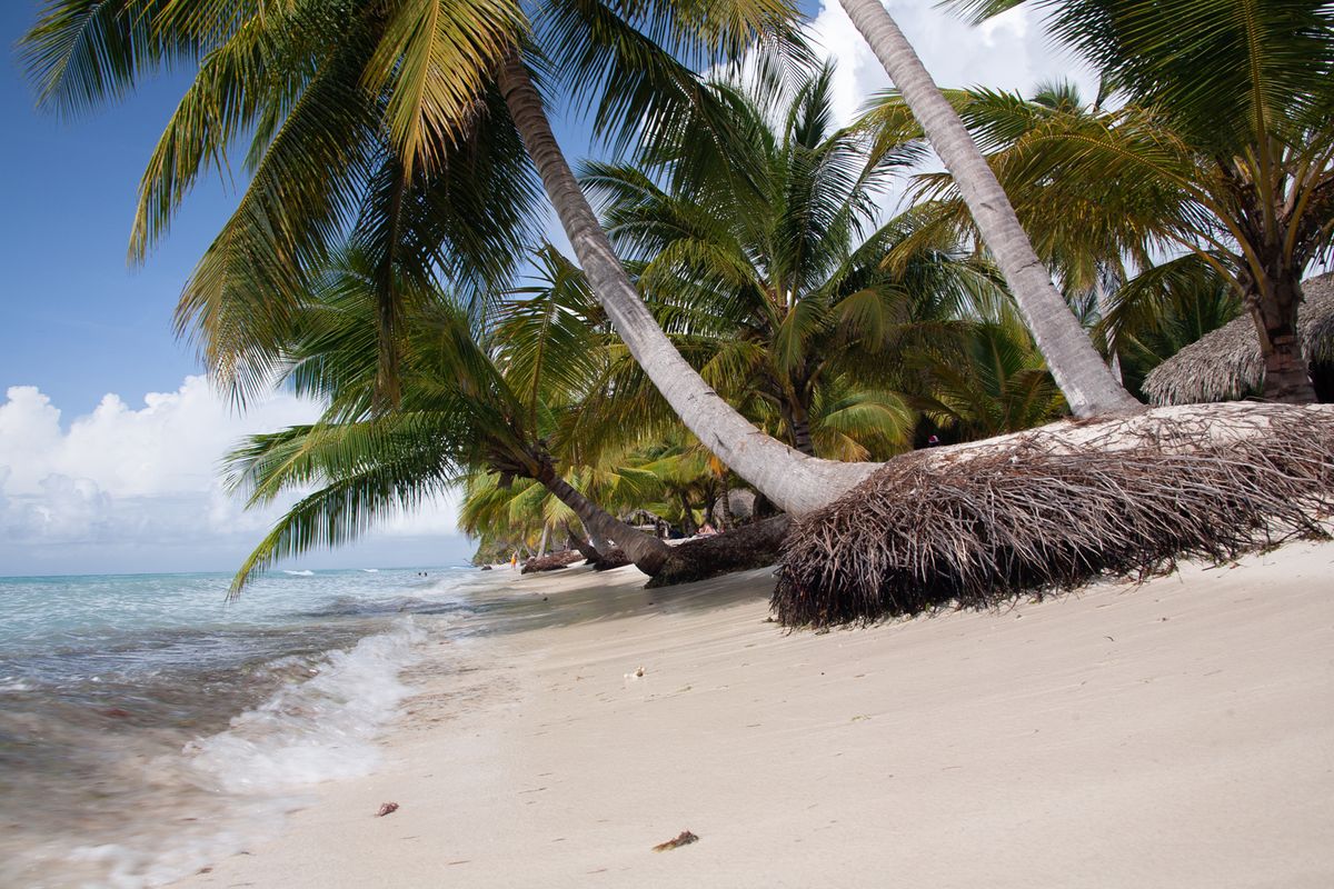 Tobago – Kis Tobago-sziget