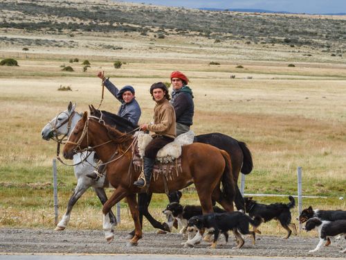 Patagónia kalandtúra gyorstalpaló – A maté 